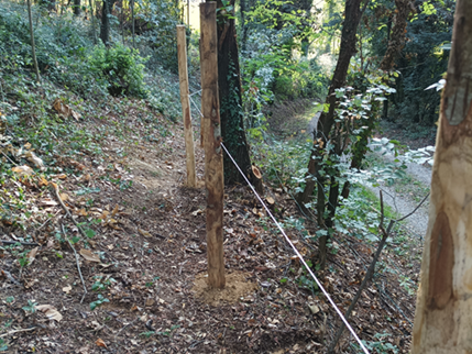 Recinzioni per frutteti e castagneti